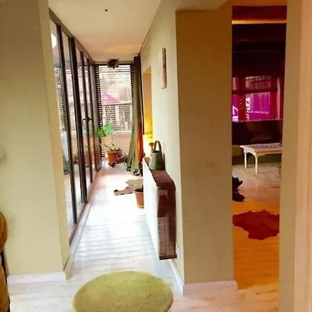 Holiday home Pet Friendly Charming House With Garden Brasov