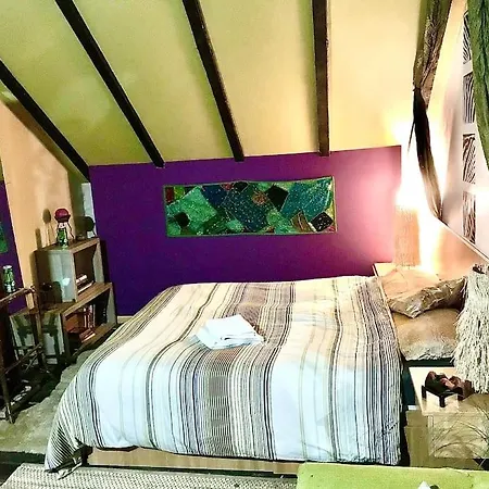 Pet Friendly Charming House With Garden * Brasov