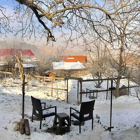 Pet Friendly Charming House With Garden *