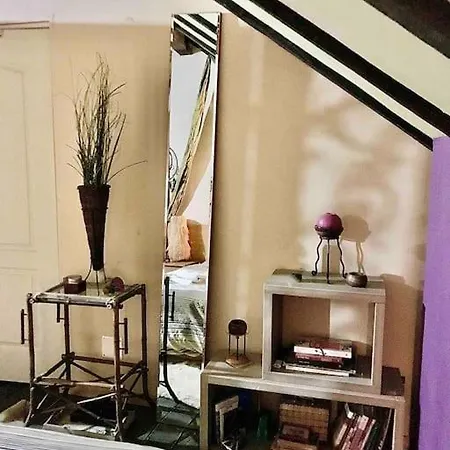 Pet Friendly Charming House With Garden