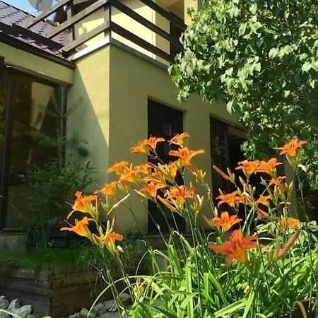 Pet Friendly Charming House With Garden Brasov