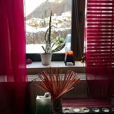 Pet Friendly Charming House With Garden Holiday home Brasov