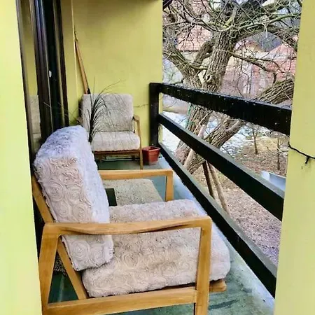 Holiday home Pet Friendly Charming House With Garden Brasov