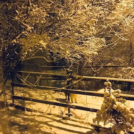 Pet Friendly Charming House With Garden Brasov
